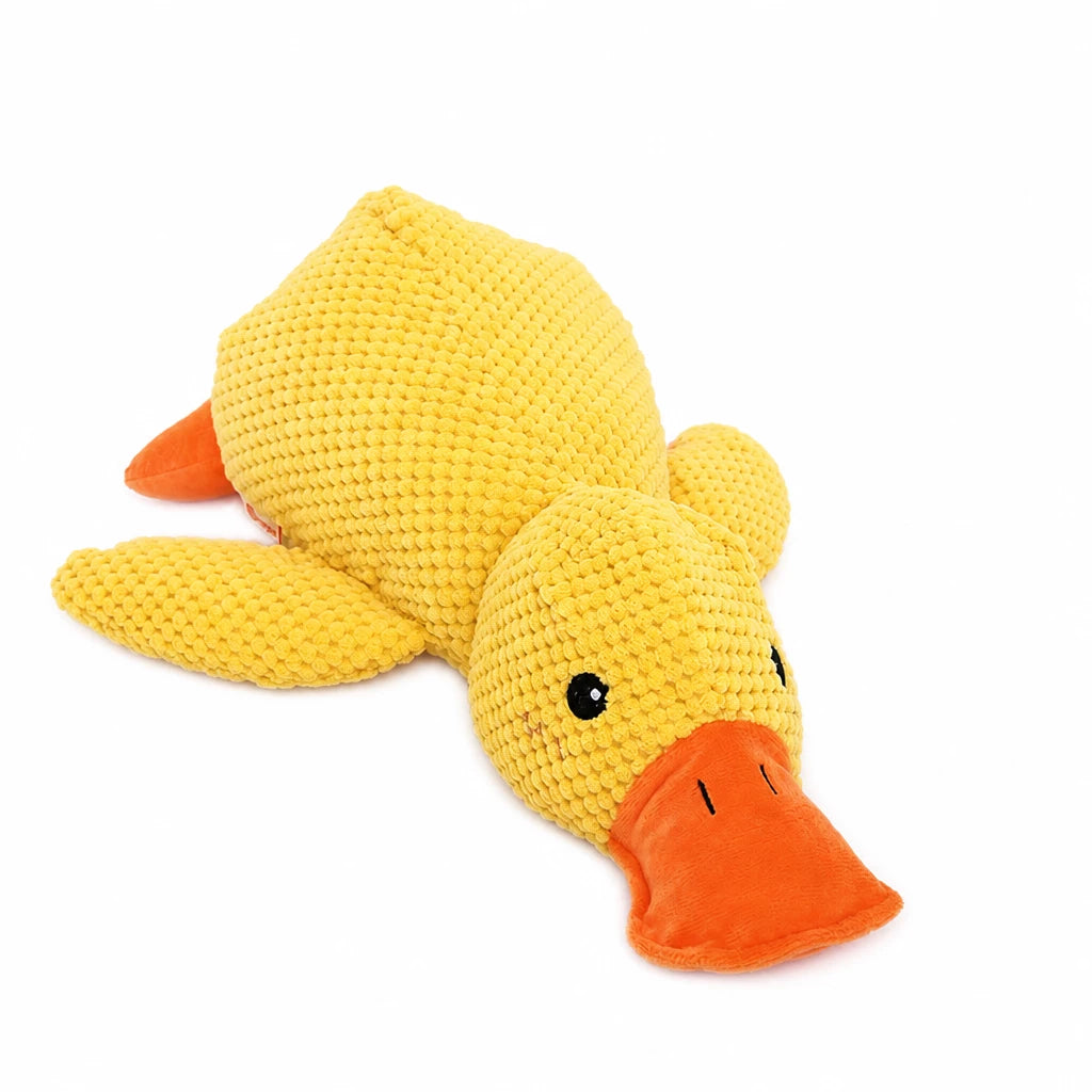 Plush Squeaky Dog Toys