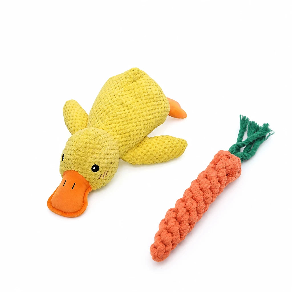 Plush Squeaky Dog Toys