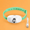 Rechargeable Cat Laser Pointer Toy
