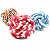 Latex Squeaky Chew Toy for Small Dogs – Assorted Shapes