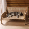 Nylon Cat Bed with Breathable Hammock-Style Design