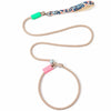 Heavy-Duty Polyester Slip Lead for Small and Medium Dogs