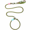 Heavy-Duty Polyester Slip Lead for Small and Medium Dogs