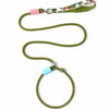 Heavy-Duty Polyester Slip Lead for Small and Medium Dogs