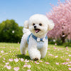 Small Dog Vest Harness and Leash for Puppies