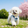 Small Dog Vest Harness and Leash for Puppies