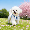 Small Dog Vest Harness and Leash for Puppies