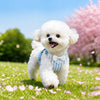 Small Dog Vest Harness and Leash for Puppies