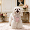 Small Dog Vest Harness and Leash for Puppies