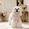 Small Dog Vest Harness and Leash for Puppies
