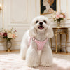 Small Dog Vest Harness and Leash for Puppies