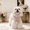 Small Dog Vest Harness and Leash for Puppies
