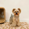 Small Dog Vest Harness and Leash for Puppies
