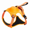 Vest-Style Dog Harness with Retractable Leash
