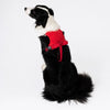 Vest-Style Dog Harness with Retractable Leash