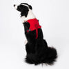 Vest-Style Dog Harness with Retractable Leash