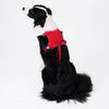 Vest-Style Dog Harness with Retractable Leash