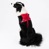 Vest-Style Dog Harness with Retractable Leash
