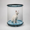 Transparent Rolling Cat Carrier