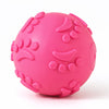 Paw Print Squeaky Ball Dog Toy