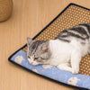 Foam Pet Bed Mat for Cats and Dogs