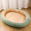 Cushioned Cat & Dog Bed