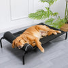 Elevated Mesh Dog Bed with Iron Frame