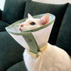 Adjustable Protective Cone Collar for Pets