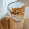 Adjustable Protective Cone Collar for Pets