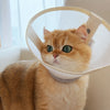 Adjustable Protective Cone Collar for Pets