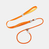 All-in-One Dog Collar and Leash