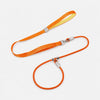 All-in-One Dog Collar and Leash