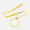 All-in-One Dog Collar and Leash