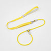 All-in-One Dog Collar and Leash