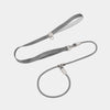All-in-One Dog Collar and Leash
