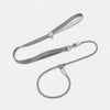 All-in-One Dog Collar and Leash