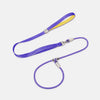 All-in-One Dog Collar and Leash