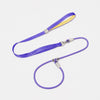 All-in-One Dog Collar and Leash