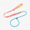 All-in-One Dog Collar and Leash