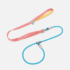 All-in-One Dog Collar and Leash