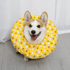 Soft Elizabethan Cone Collar for Dogs