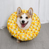 Soft Elizabethan Cone Collar for Dogs
