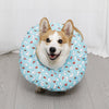 Soft Elizabethan Cone Collar for Dogs