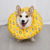 Soft Elizabethan Cone Collar for Dogs