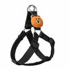 Adjustable Nylon Dog Harness with Leash Option