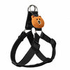 Adjustable Nylon Dog Harness with Leash Option