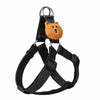 Adjustable Nylon Dog Harness with Leash Option