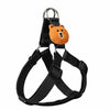 Adjustable Nylon Dog Harness with Leash Option