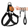 Adjustable Nylon Dog Harness with Leash Option