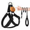 Adjustable Nylon Dog Harness with Leash Option